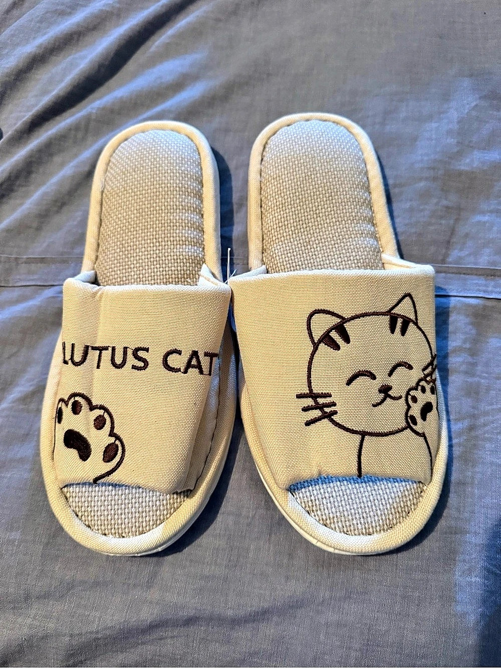 Cat Slippers in Beige